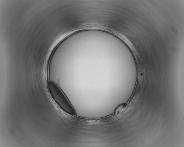 X0000111801144200908201148