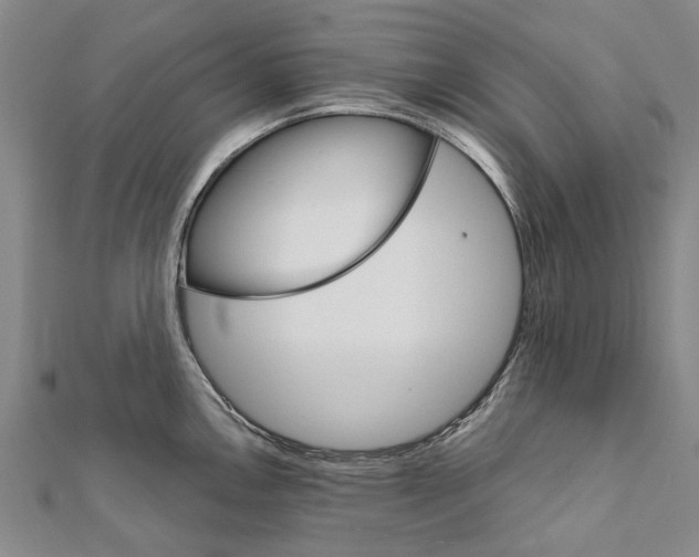 X0000111801146200908201148