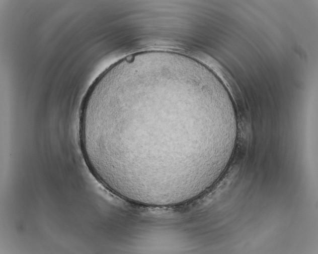 X0000111801147200908201148