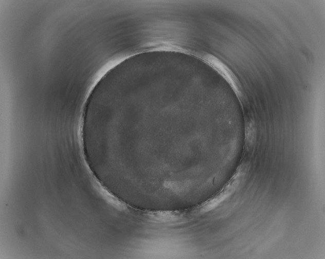 X0000111801149200908201148