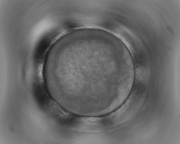 X0000111801150200908201148