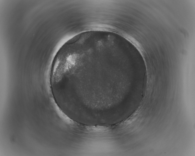 X0000111801152200908201148