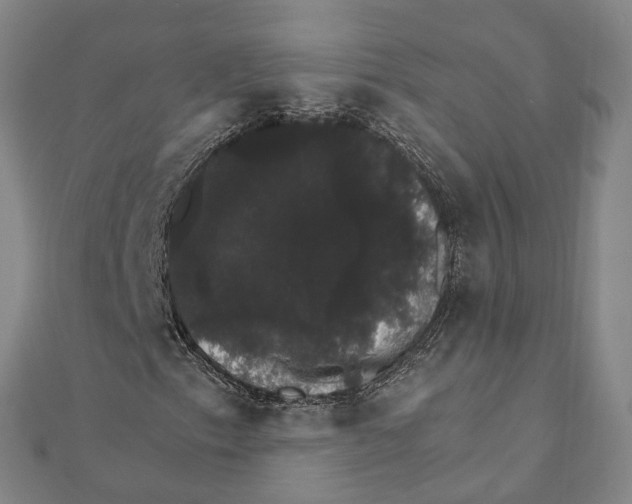 X0000111801153200908201147