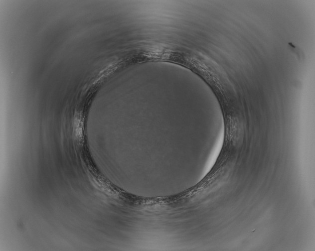 X0000111801154200908201147