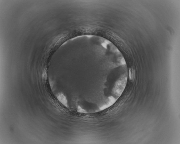 X0000111801155200908201147