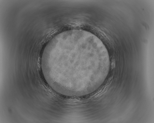 X0000111801156200908201147