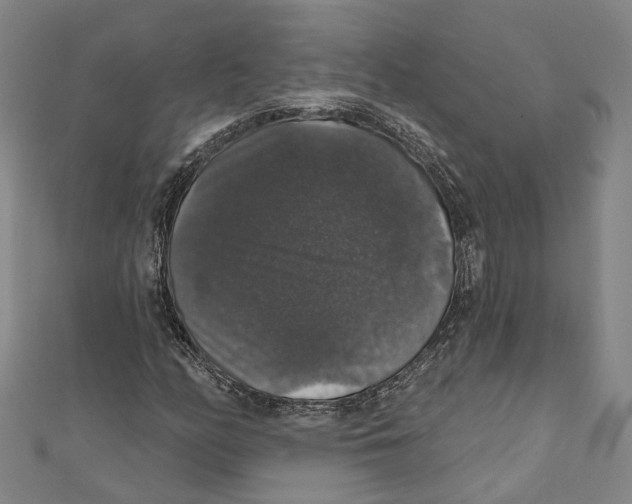 X0000111801158200908201147