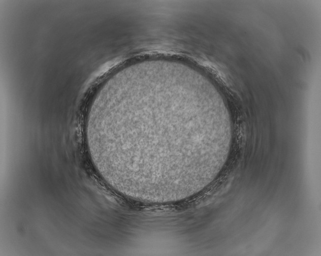 X0000111801159200908201147