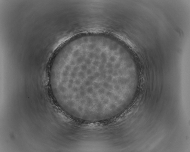 X0000111801160200908201147