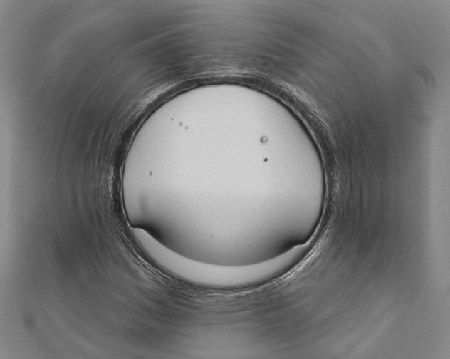 X0000111801161200908201147