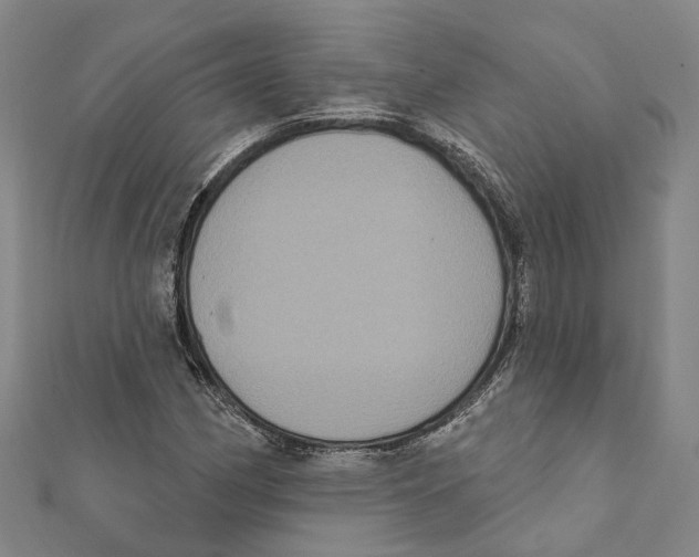 X0000111801162200908201147