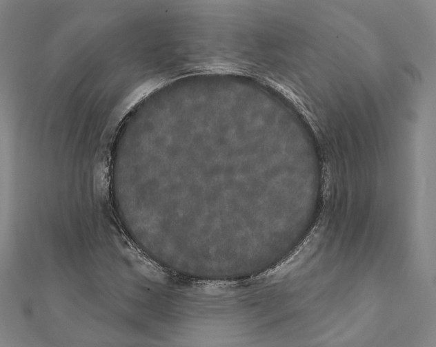 X0000111801163200908201147