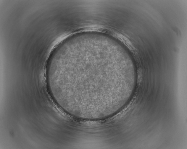 X0000111801164200908201147