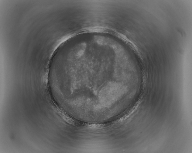 X0000111801166200908201147