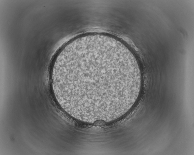 X0000111801167200908201147