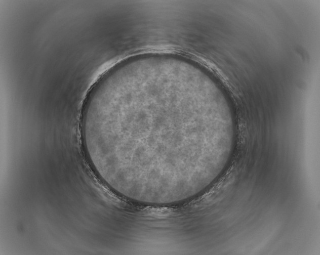 X0000111801168200908201147