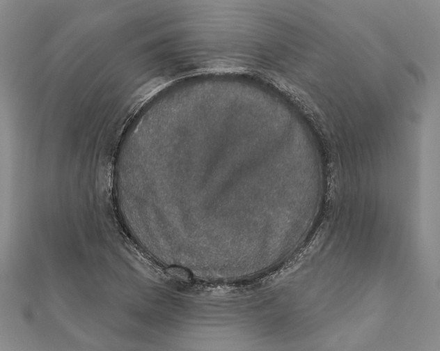 X0000111801169200908201147