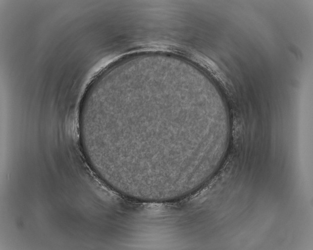 X0000111801172200908201147