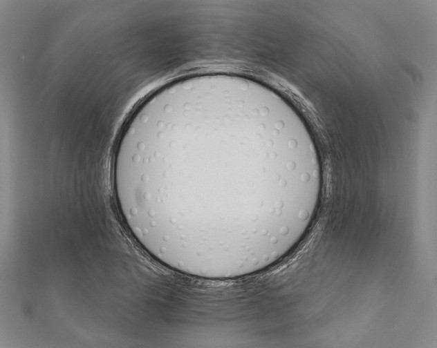 X0000111801174200908201147