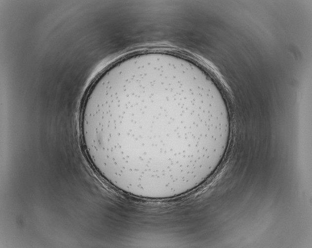 X0000111801176200908201147