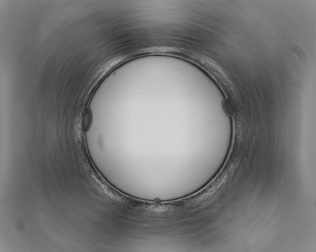 X0000111801177200908201147