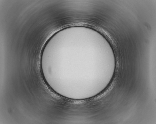 X0000111801178200908201147