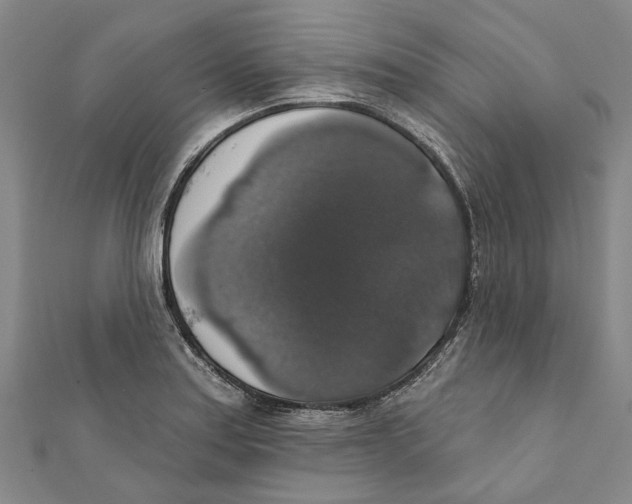 X0000111801179200908201147