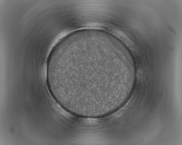 X0000111801180200908201147