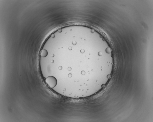X0000111801182200908201147