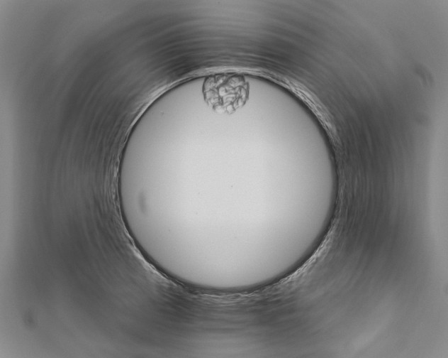 X0000111801185200908201147