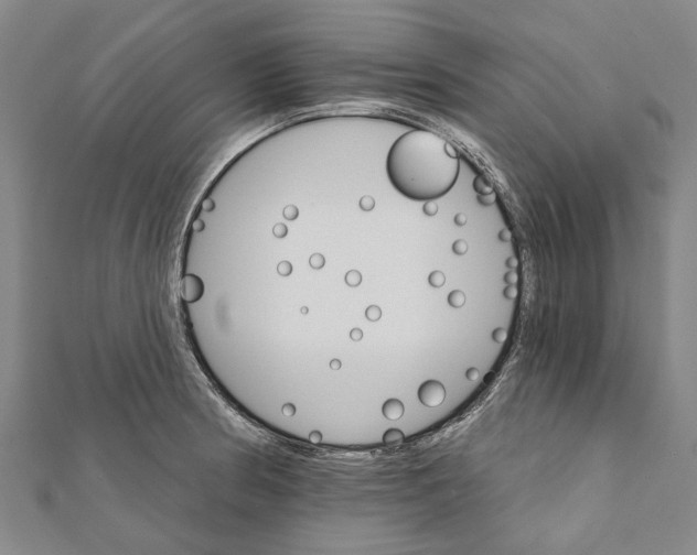 X0000111801186200908201146