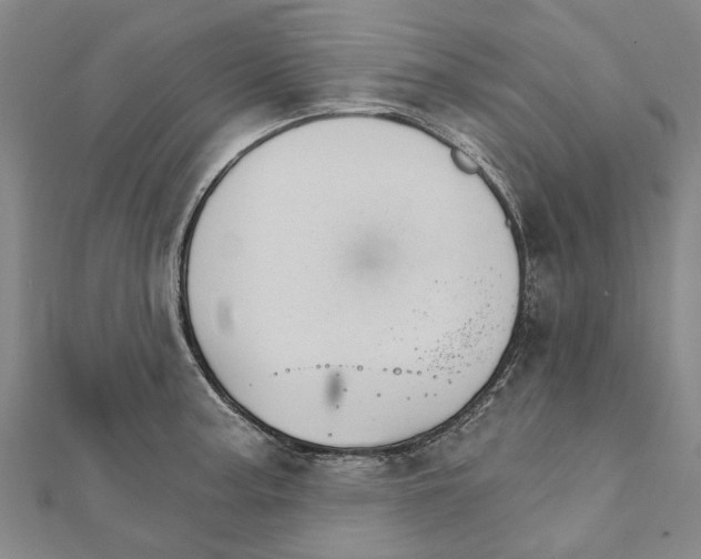X0000111801187200908201146