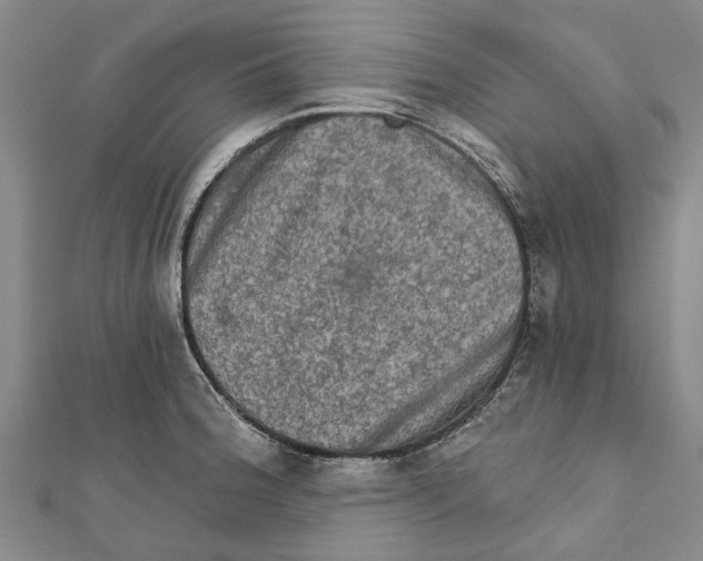 X0000111801188200908201146