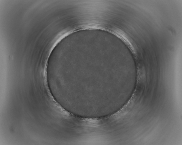 X0000111801190200908201146