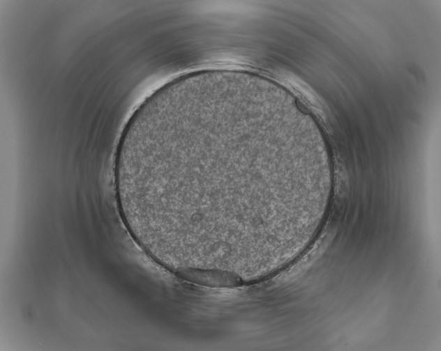 X0000111801192200908201146