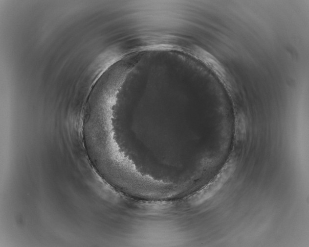 X0000111801193200908201146
