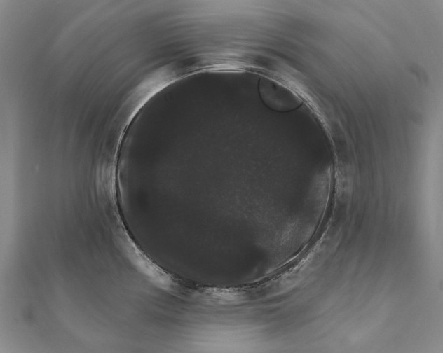 X0000111801194200908201146