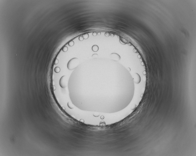 X0000111801195200908201146