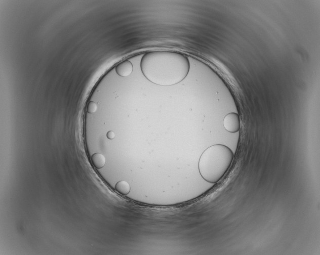 X0000111801196200908201146