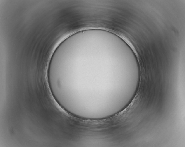 X0000111801197200908201146