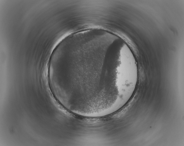 X0000111801198200908201146