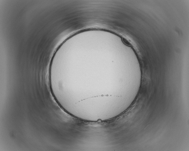 X0000111801199200908201146