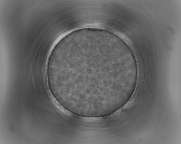 X0000111801200200908201146