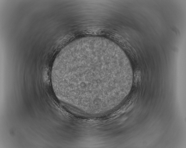 X0000111801202200908201146