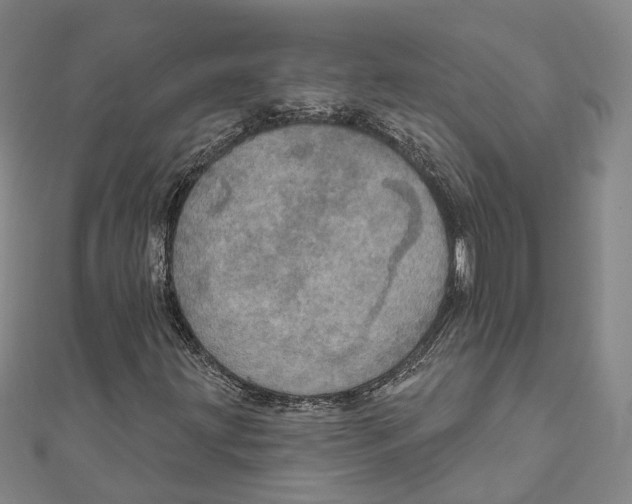 X0000111801203200908201146