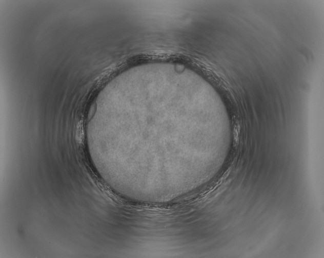 X0000111801204200908201146