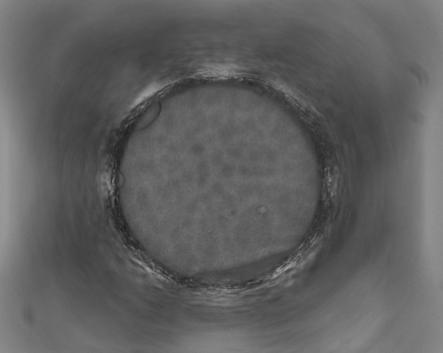 X0000111801206200908201146