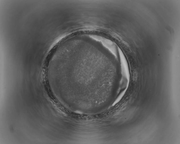 X0000111801208200908201146