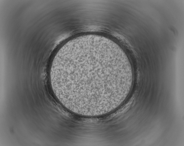 X0000111801210200908201146