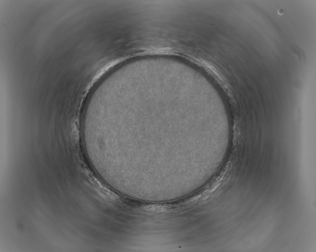 X0000111801212200908201146